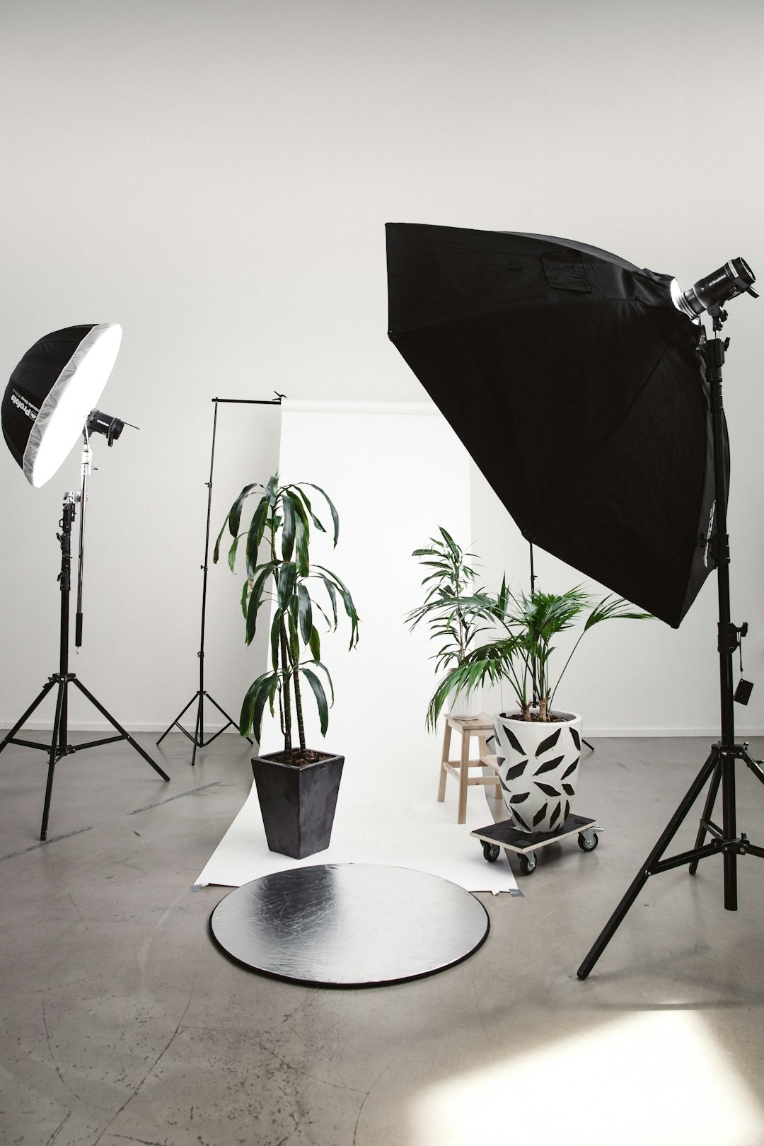 photography business photoshoot set