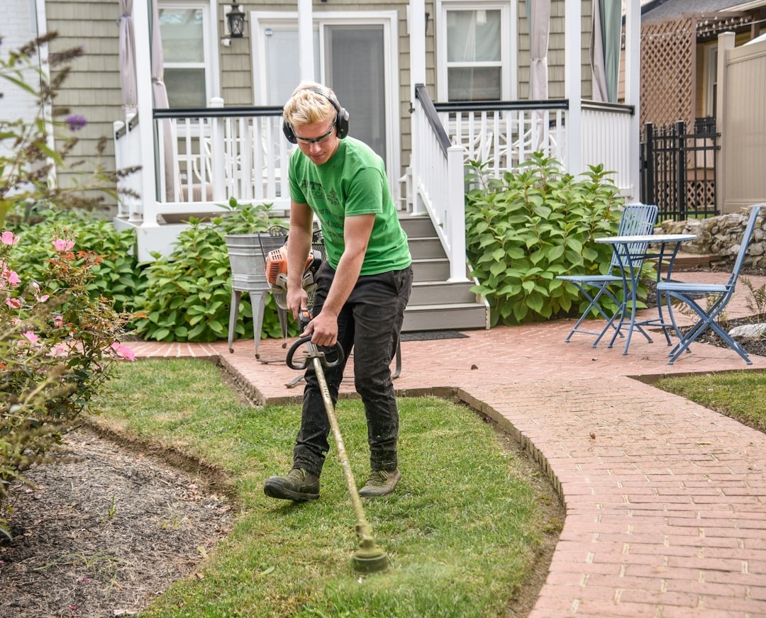 lawn care business trimming grass