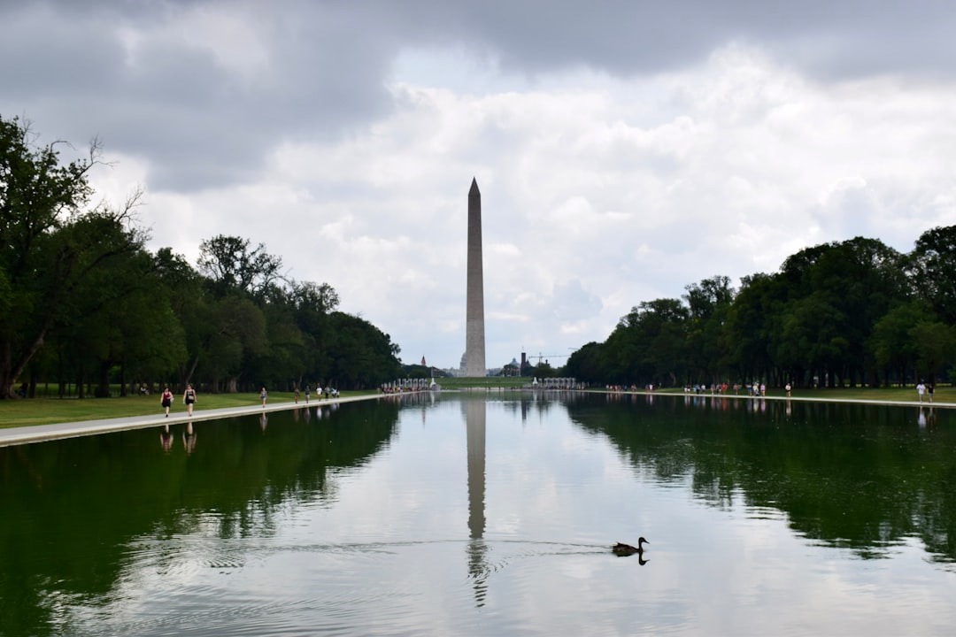 Image - j & c financial services | bookkeeping & advisory washington, dc